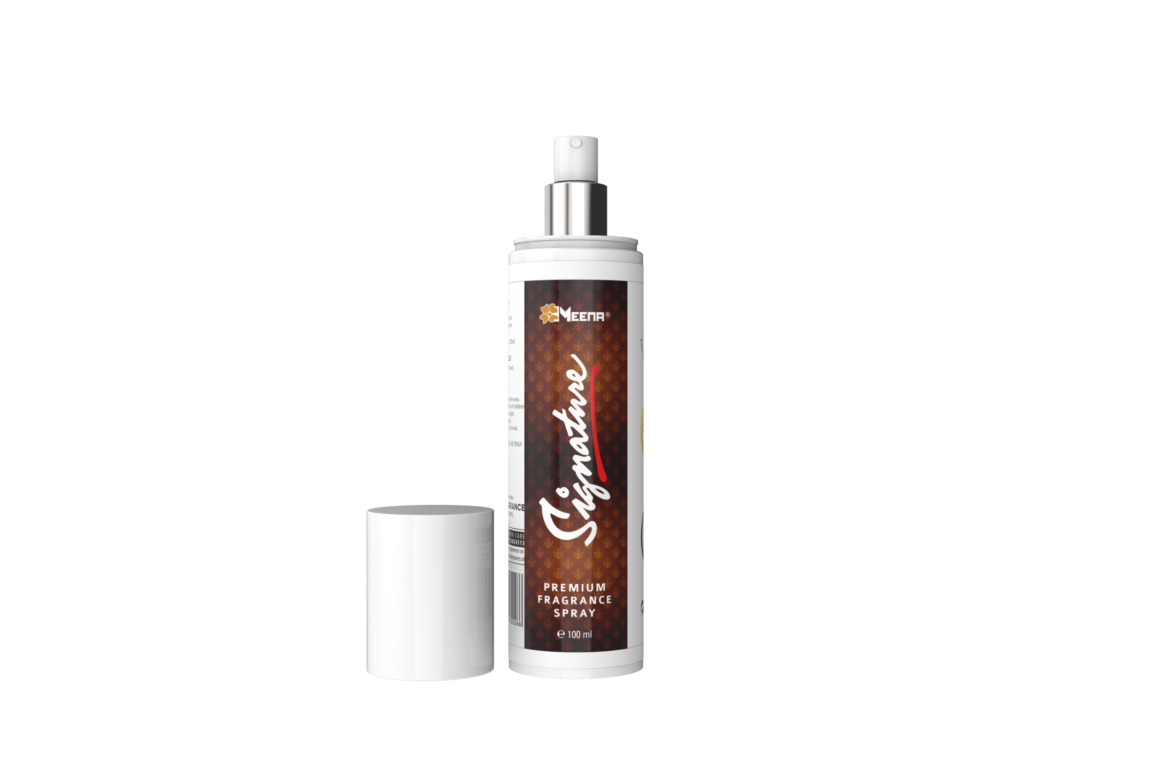 SIGNATURE ( 100 ML SPRAY )